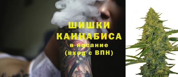 spice Лагань
