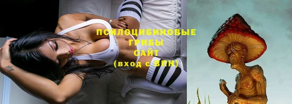 метадон Ладушкин