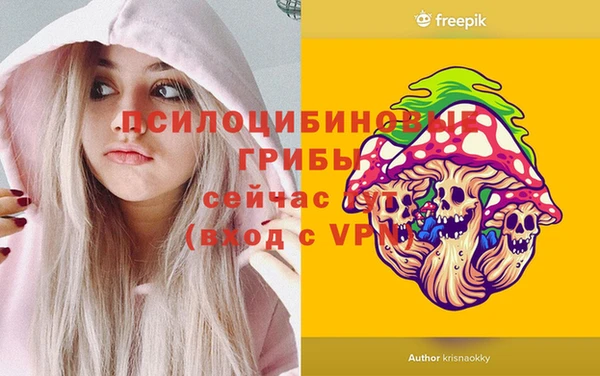 spice Лагань