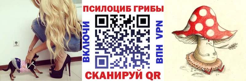 Купить закладки  Опочка  Галлюциногенные грибы мицелий 